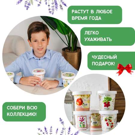 Набор для выращивания Rostok Visa