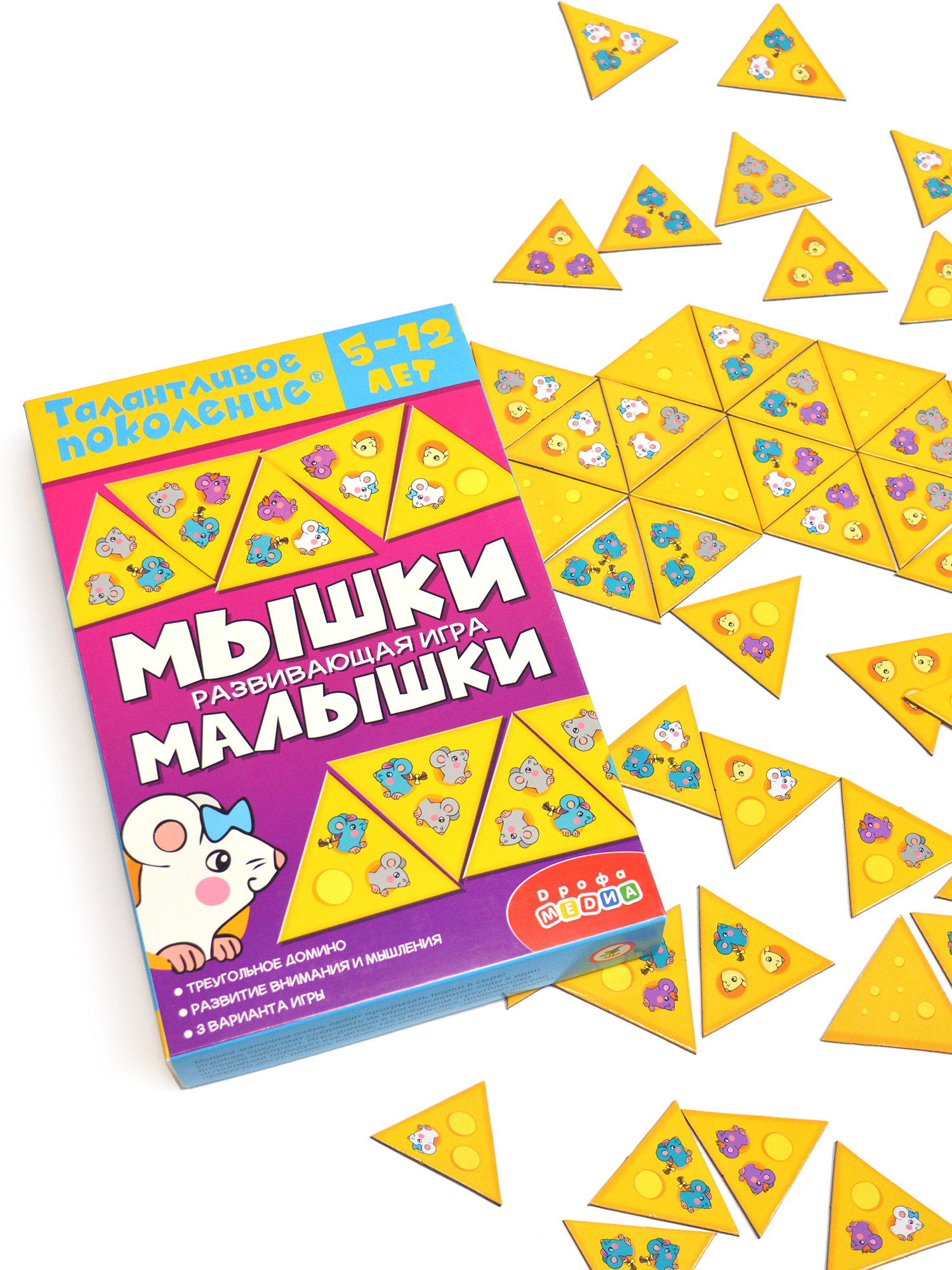 Настольная игра Дрофа-Медиа - фото 8