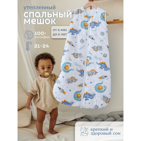 Спальный мешок Lemur Studio Утепленный