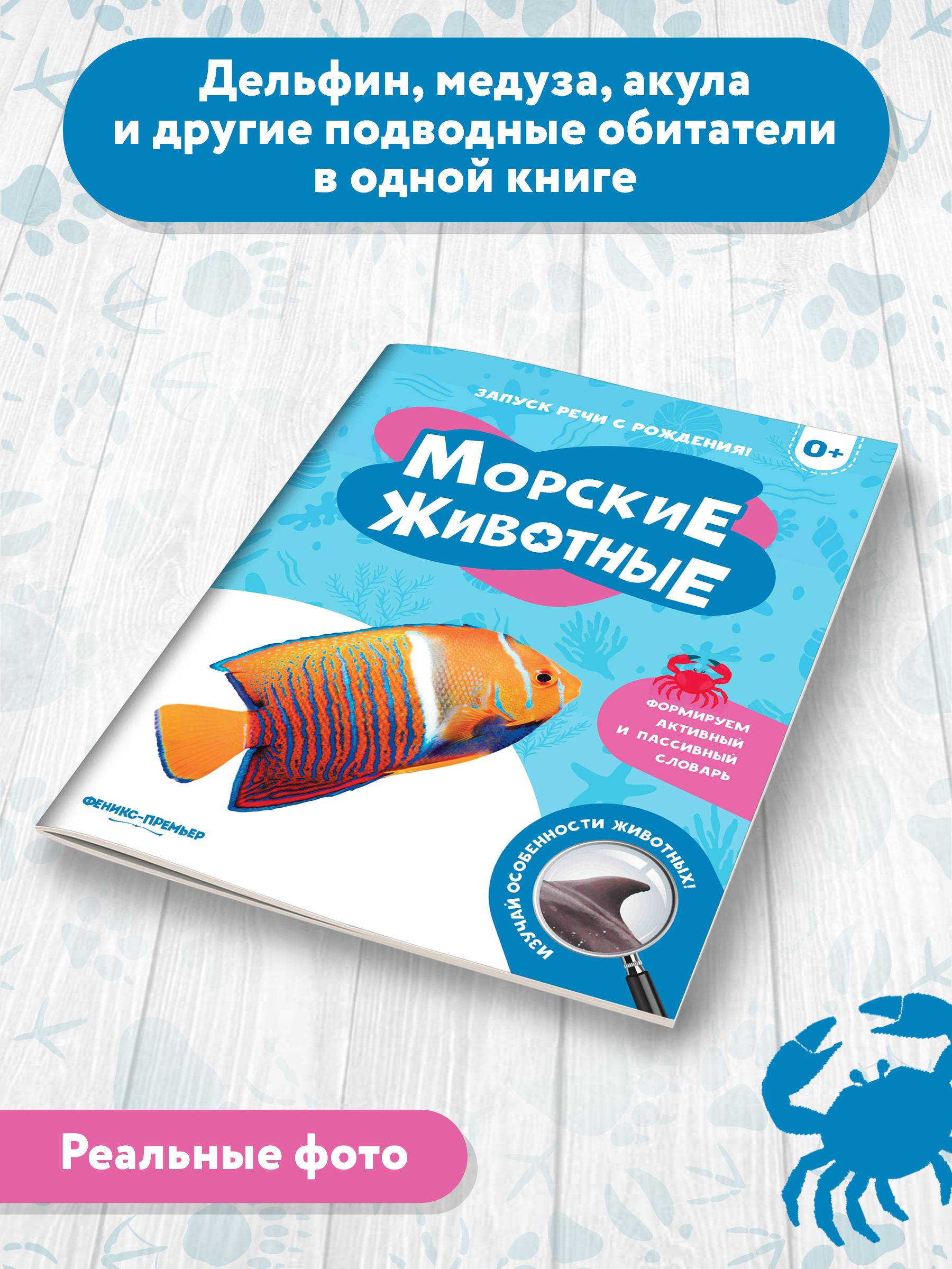 Книга Феникс Премьер Морские животные. Фотоброшюра 0+ - фото 3