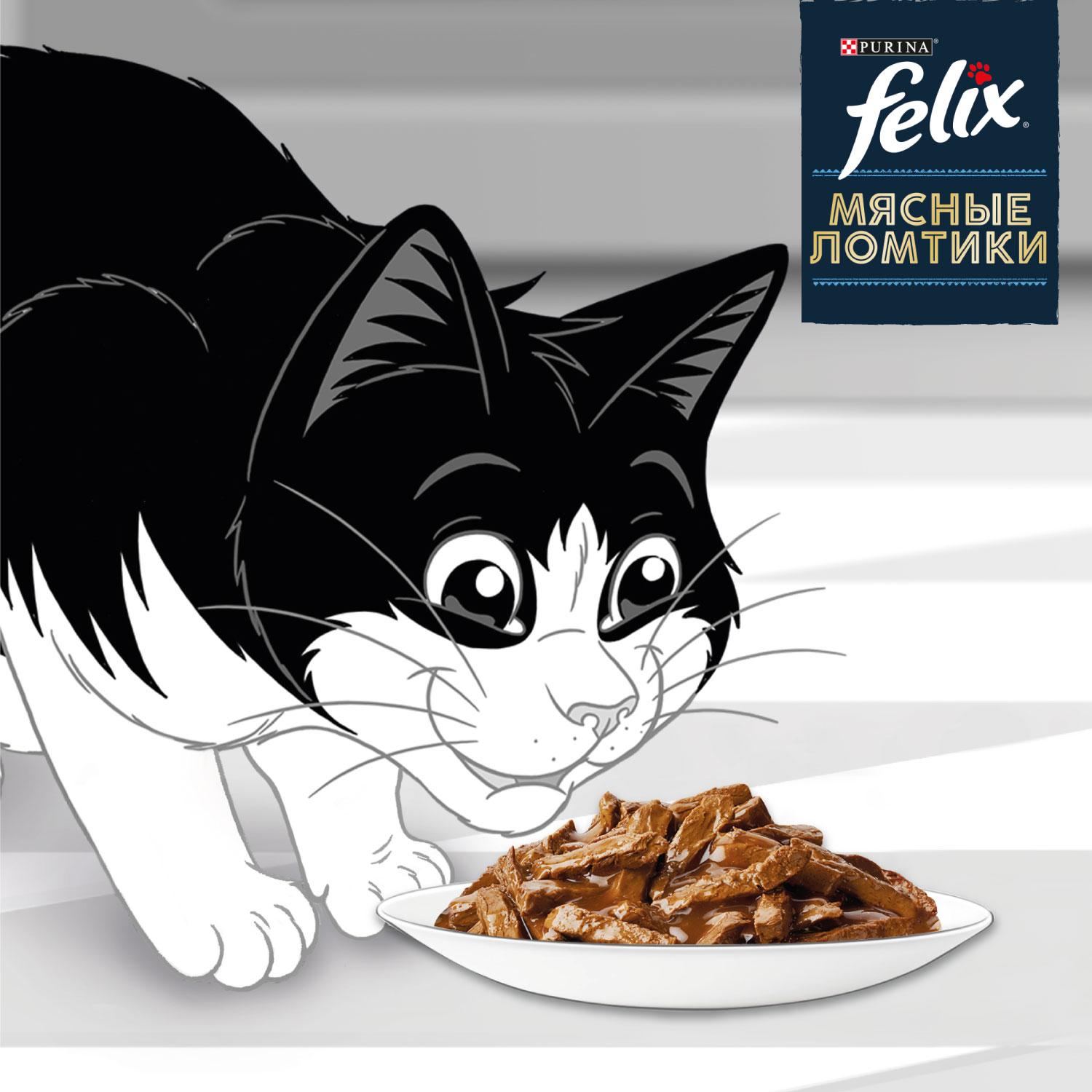 Корм для кошек Felix Мясные Ломтики влажный с уткой 75г - фото 4