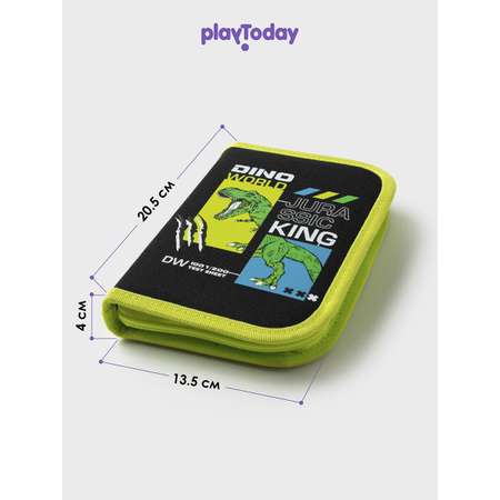 Пенал PlayToday