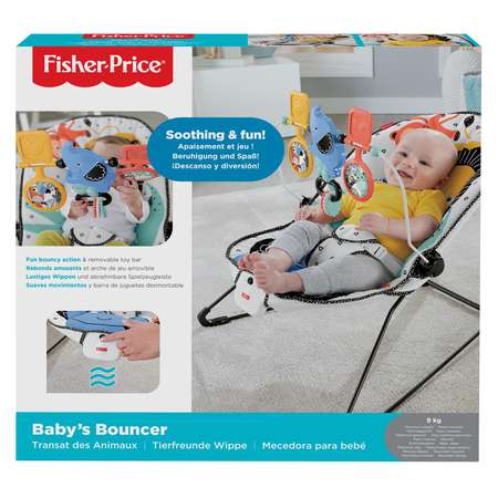 Кресло-качалка Fisher Fisher Price GNR00