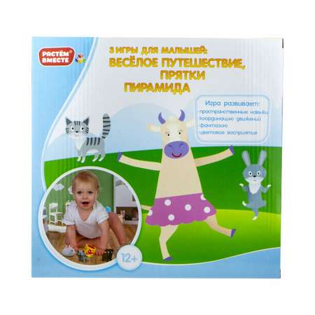 Игрушка 1TOY сортер