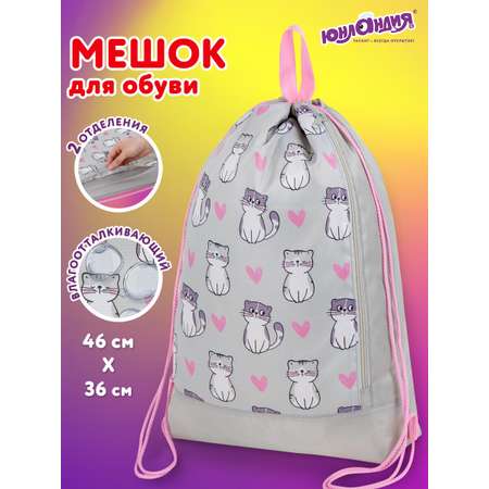 Мешок для обуви Юнландия котики