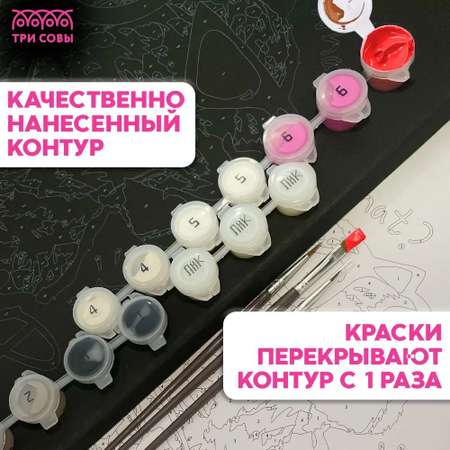 Картина по номерам ТРИ СОВЫ