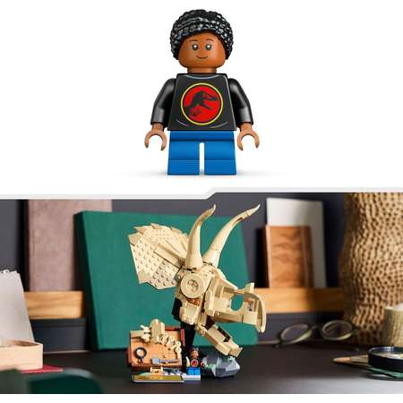 Конструктор LEGO Jurassic World Череп Трицератопса блочный