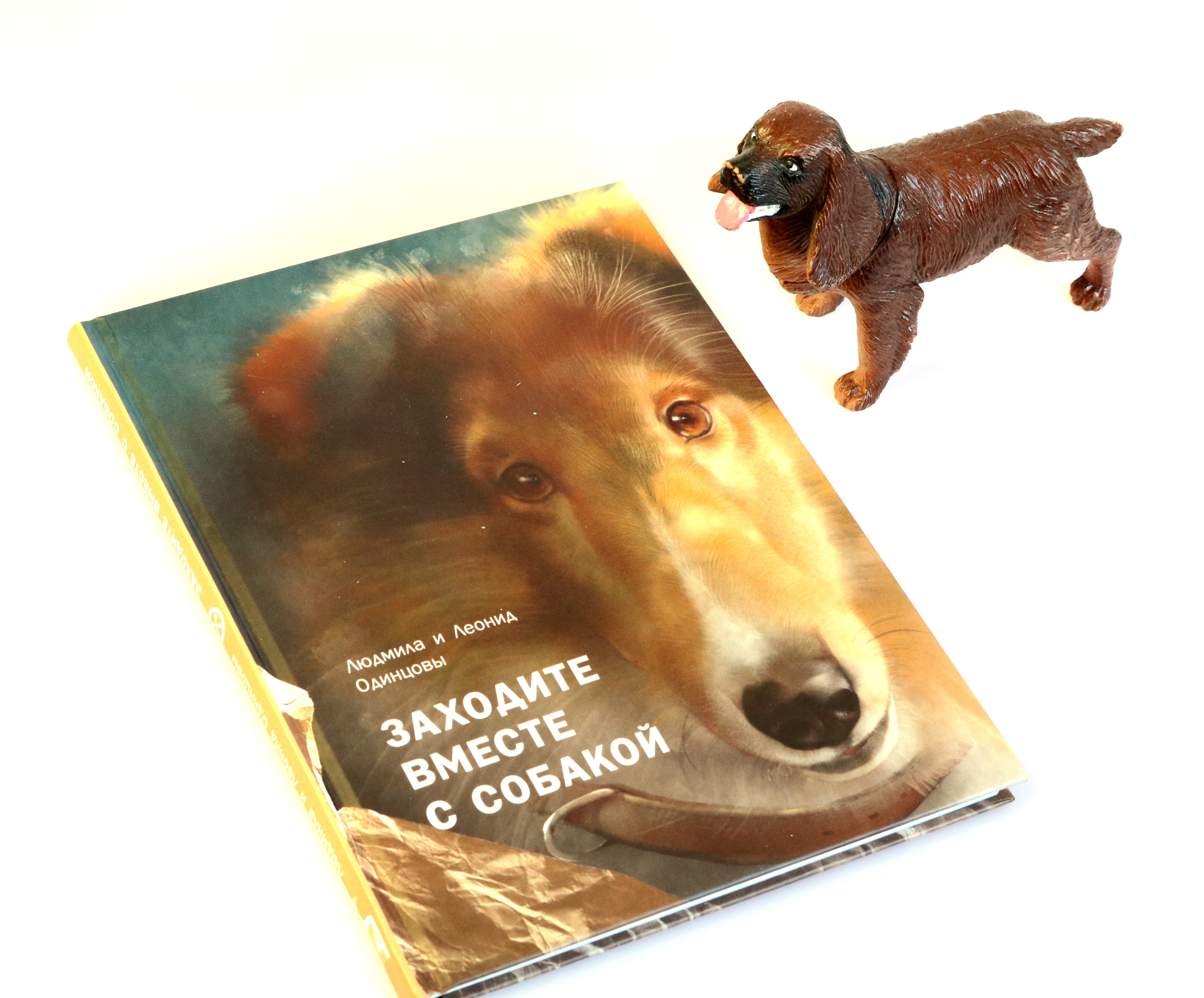 Книга Пять четвертей Заходите вместе с собакой - фото 10