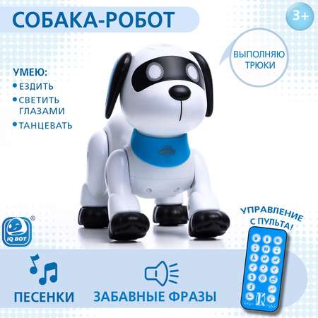 Собака РУ IQ BOT Дружок Лакки