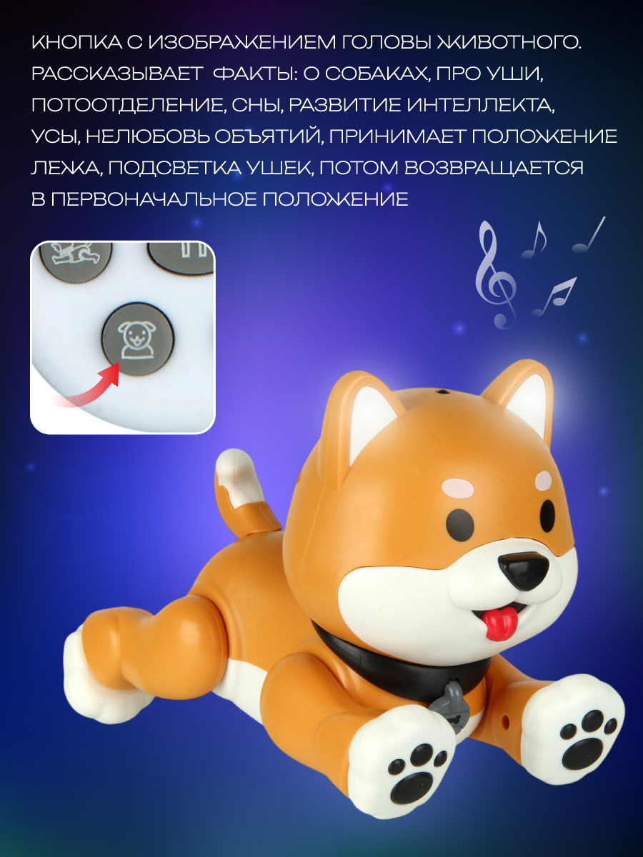 Собака РУ Veld Co - фото 8