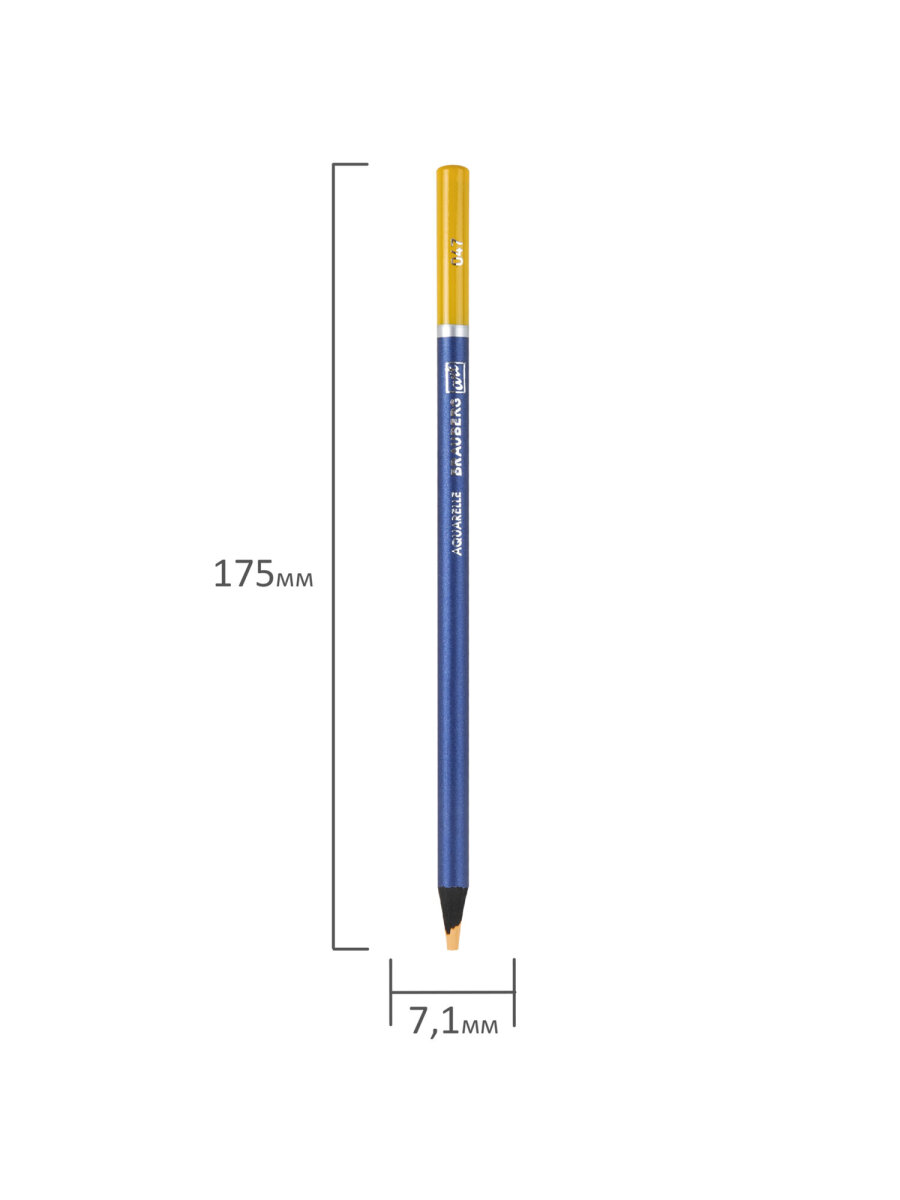 Карандаши акварельные Brauberg 48 шт. - фото 15