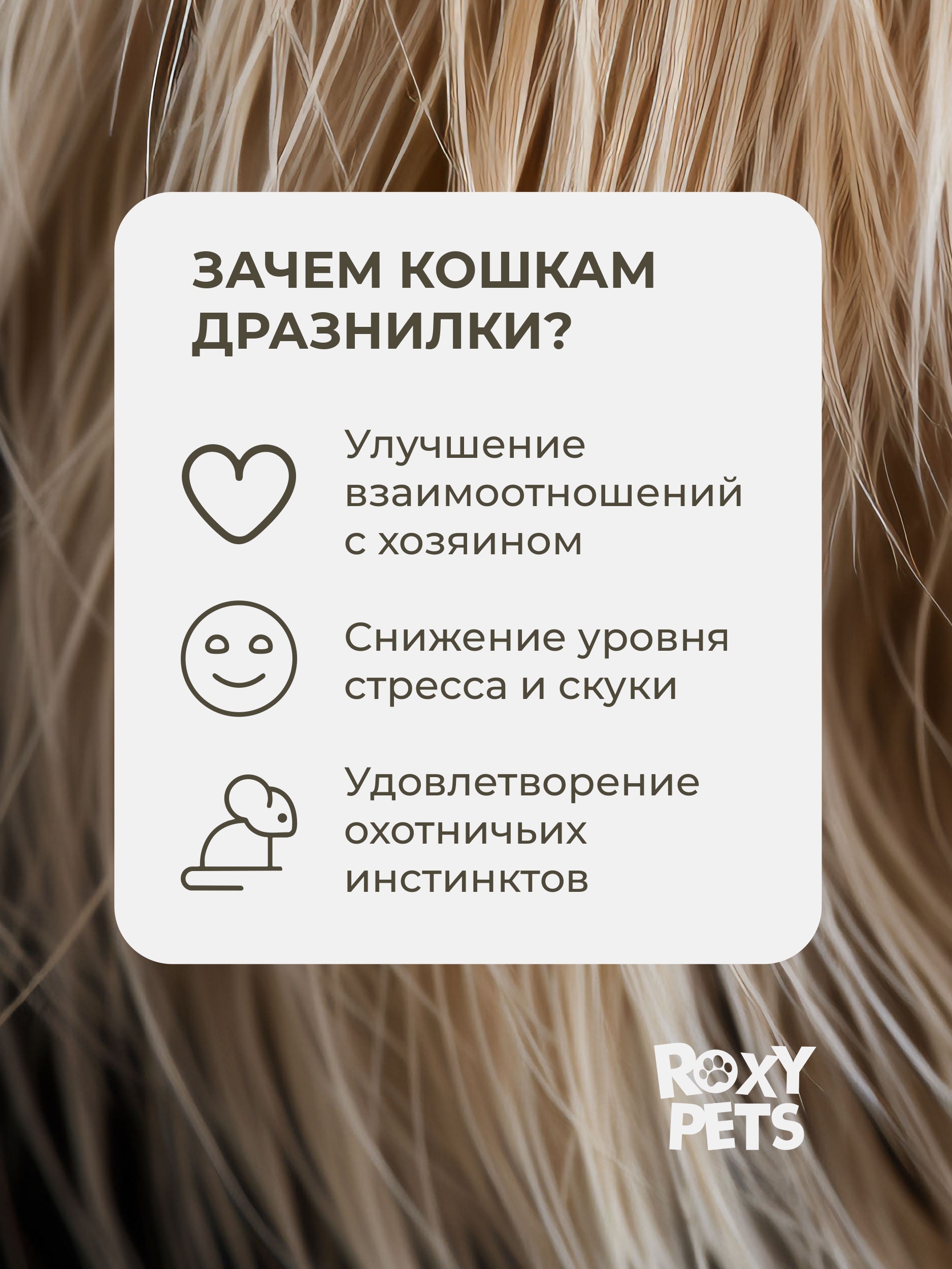 Игрушка ROXY PETS Дразнилка для кошек - фото 2