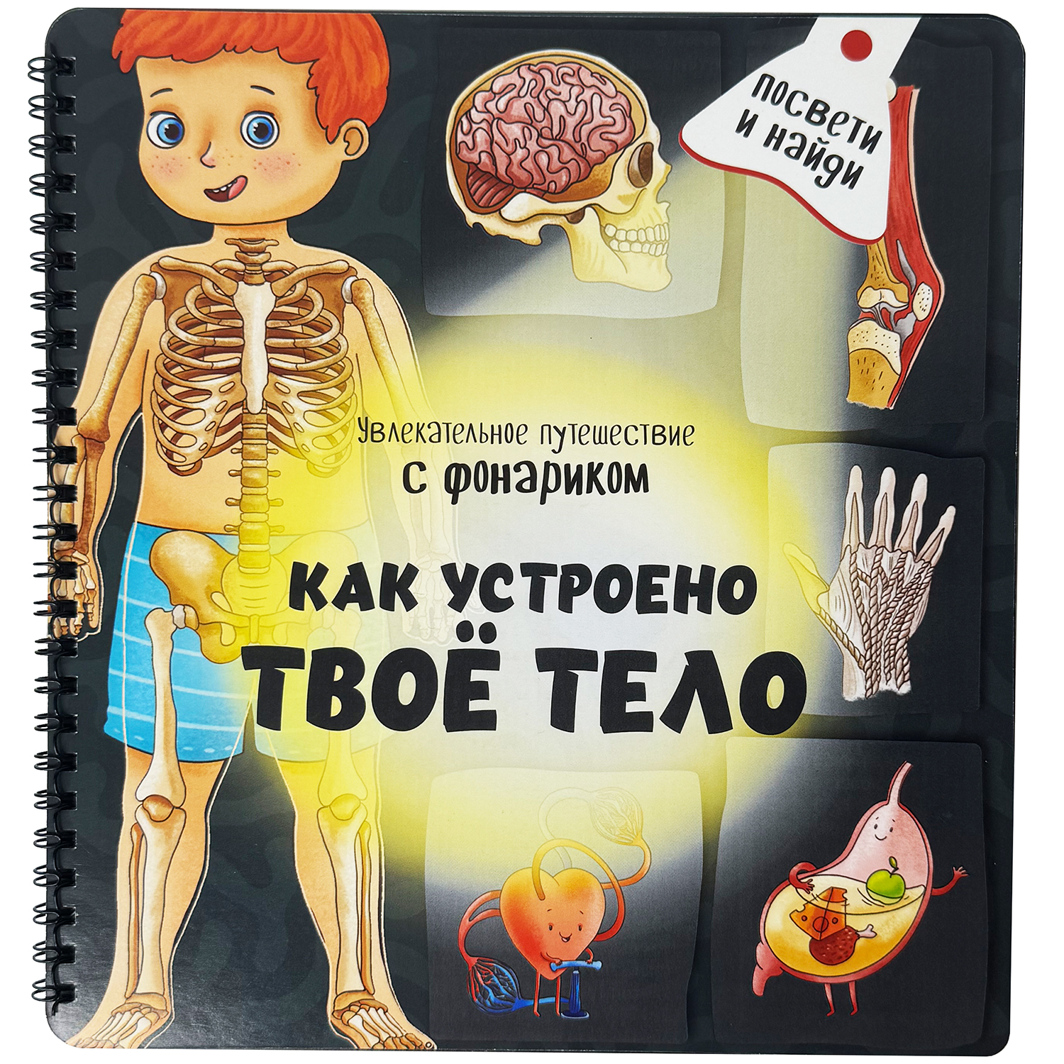 Детская книга БимБиМон с фонариком Как устроено твое тело - фото 5