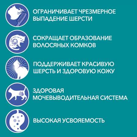 Корм для кошек Purina One для красивой шерсти здоровой кожи с высоким содержанием курицы и цельными злаками сухой 750г