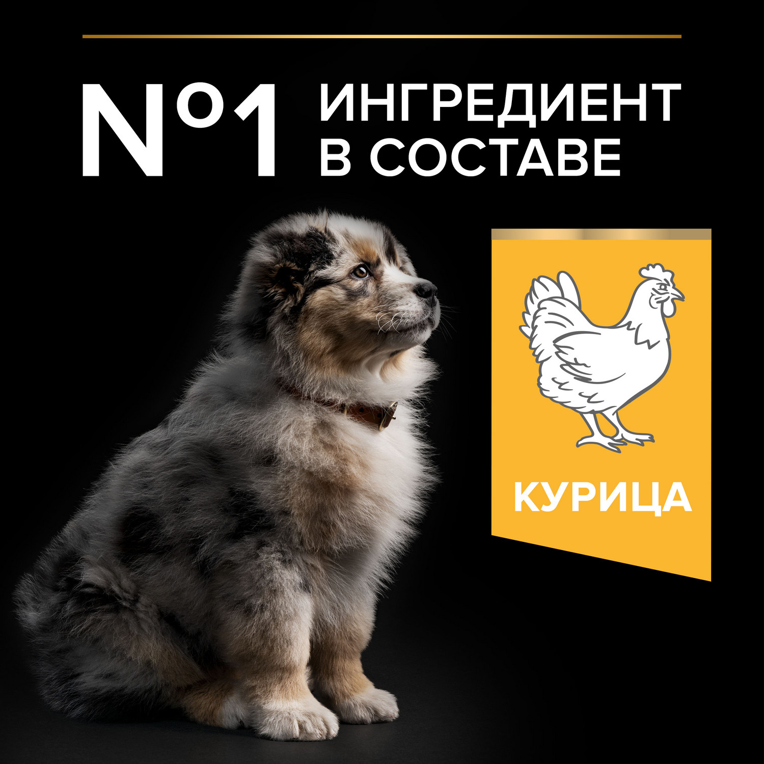 Корм сухой для щенков PRO PLAN HEALTHY START 3 кг с курицей для средних пород - фото 3