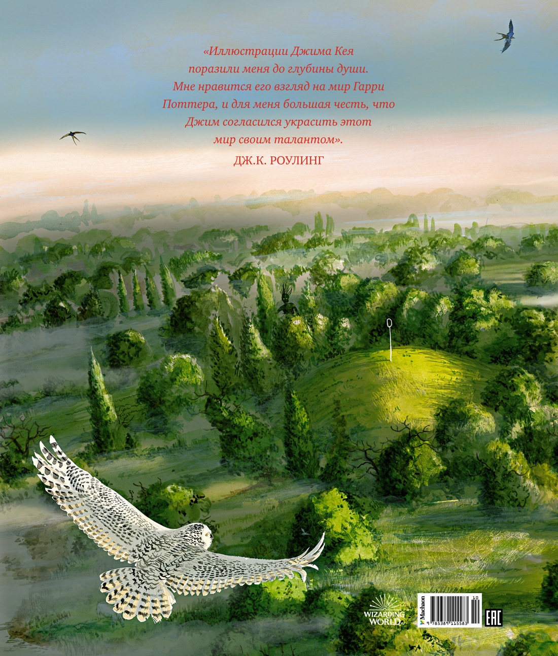 Книга Махаон Роулинг Дж К Гарри Поттер и Тайная комната с цветными иллюстрациями - фото 3