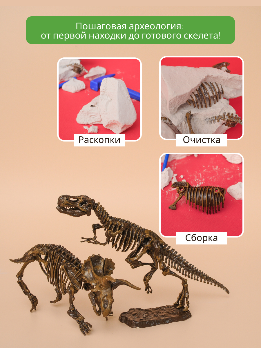 Набор для раскопок KONIK Science - фото 5