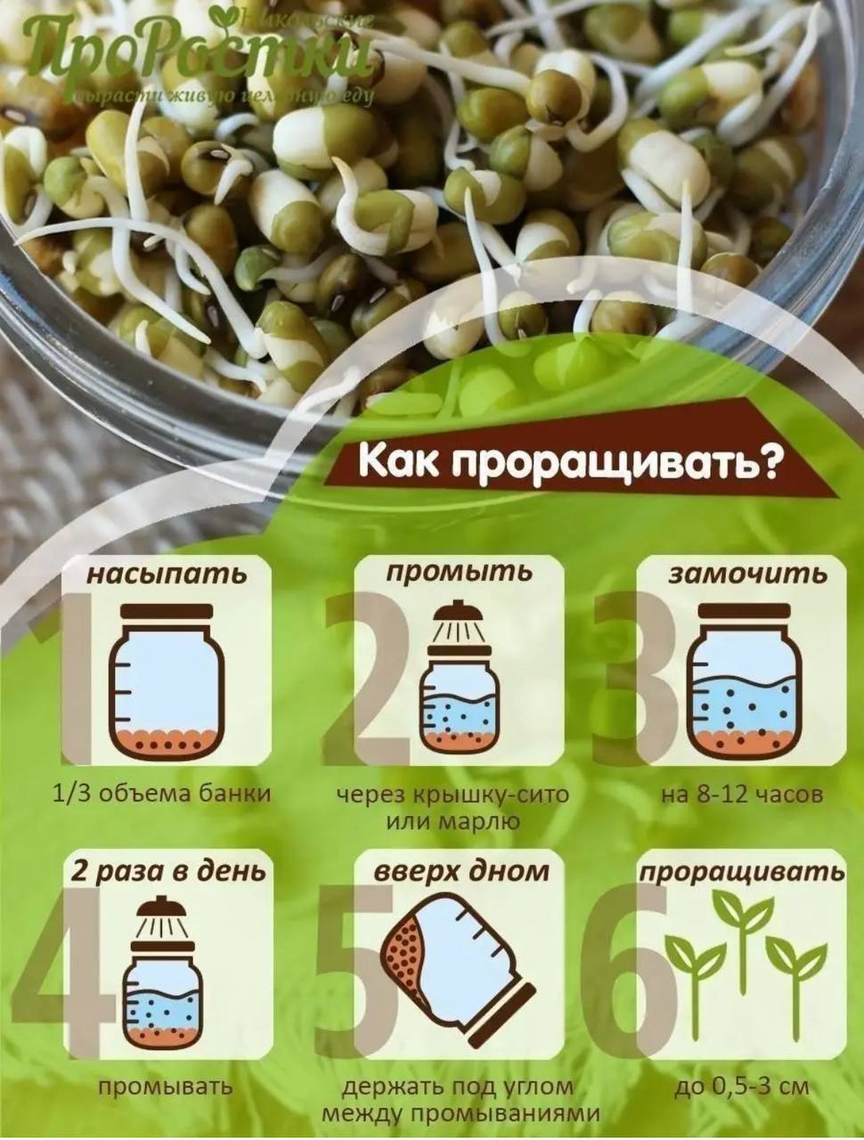 Семена для микрозелени Никольские ПроРостки бобы Мунг - фото 8