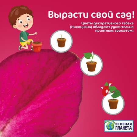 Набор для выращивания ЗЕЛЕНАЯ ПЛАНЕТА
