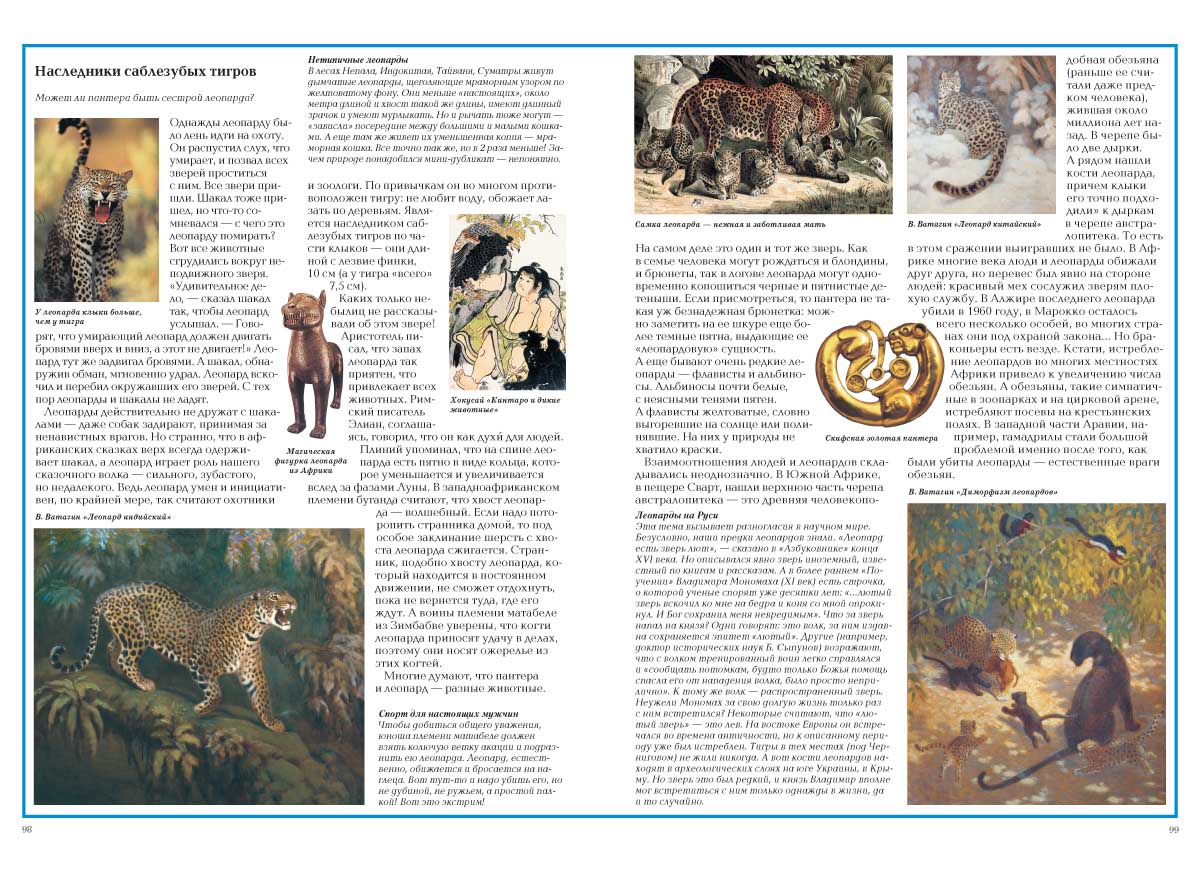 Книга Белый город Загадки животного мира - фото 5