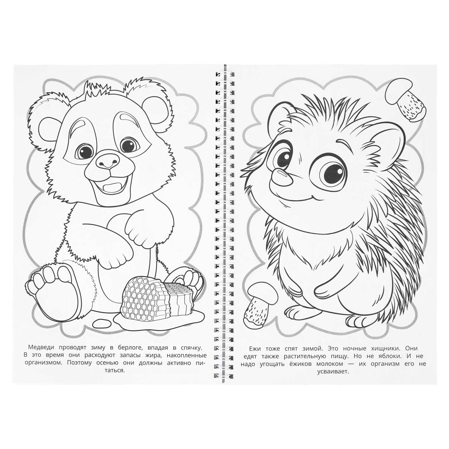 Раскраска УМка Удивительные животные 100 картинок - фото 3