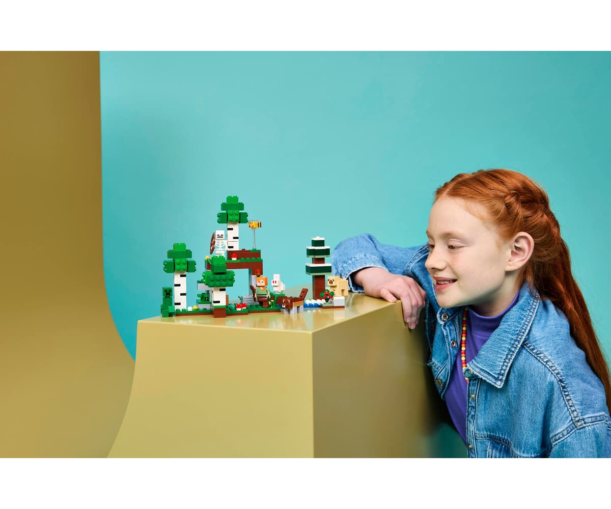 Конструктор LEGO Minecraft Первое ночное приключение 301 дет. - фото 12