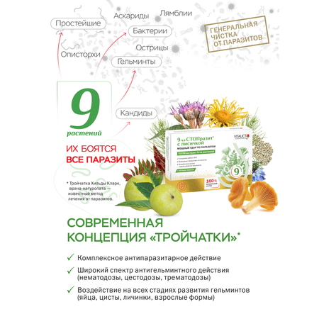 БАД VITAUCT 9-ка СТОПразит с лисичкой, таблетки