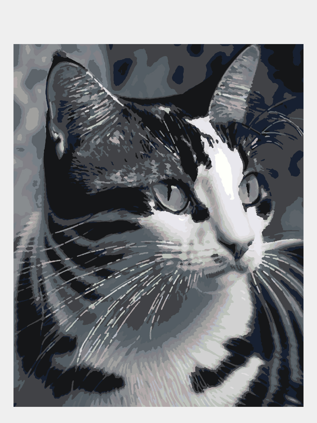 Картина по номерам Selfica Полосатый котик - фото 1