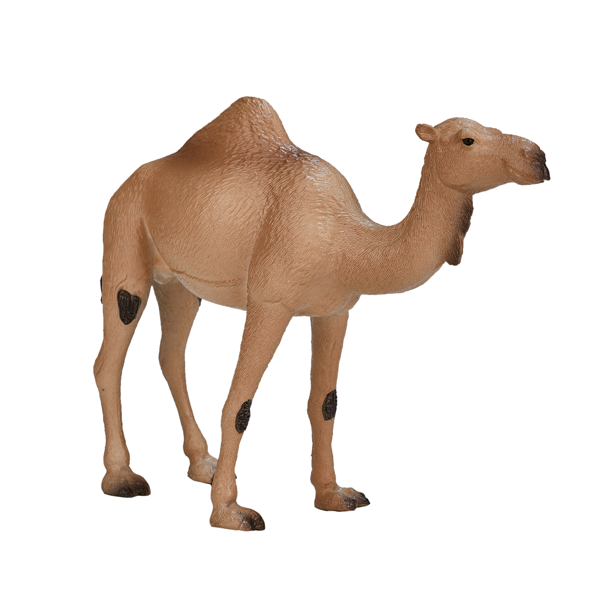 Фигурка KONIK Одногорбый верблюд - фото 3
