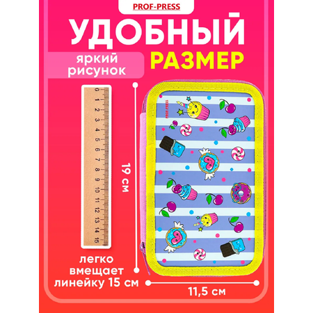 Пенал книжка Prof-Press