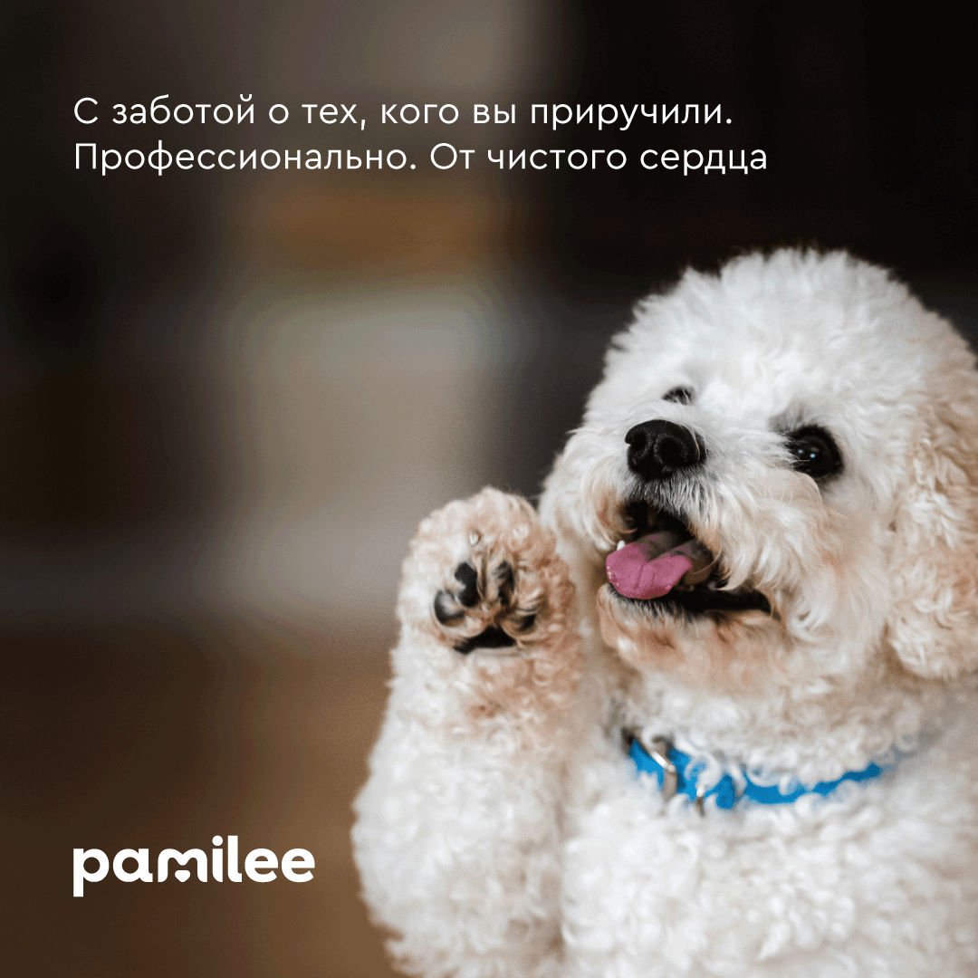 Воск для лап собак и кошек Pamilee, защитный, заживляющий, стик 30 мл - фото 10