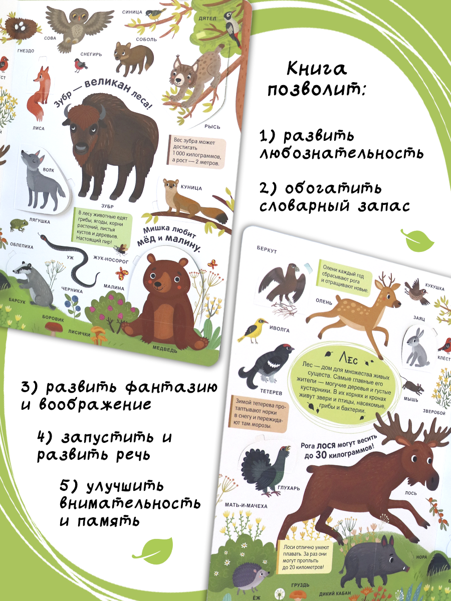 Книга с окошками Живая природа Животные Malamalama Энциклопедия для малышей - фото 2