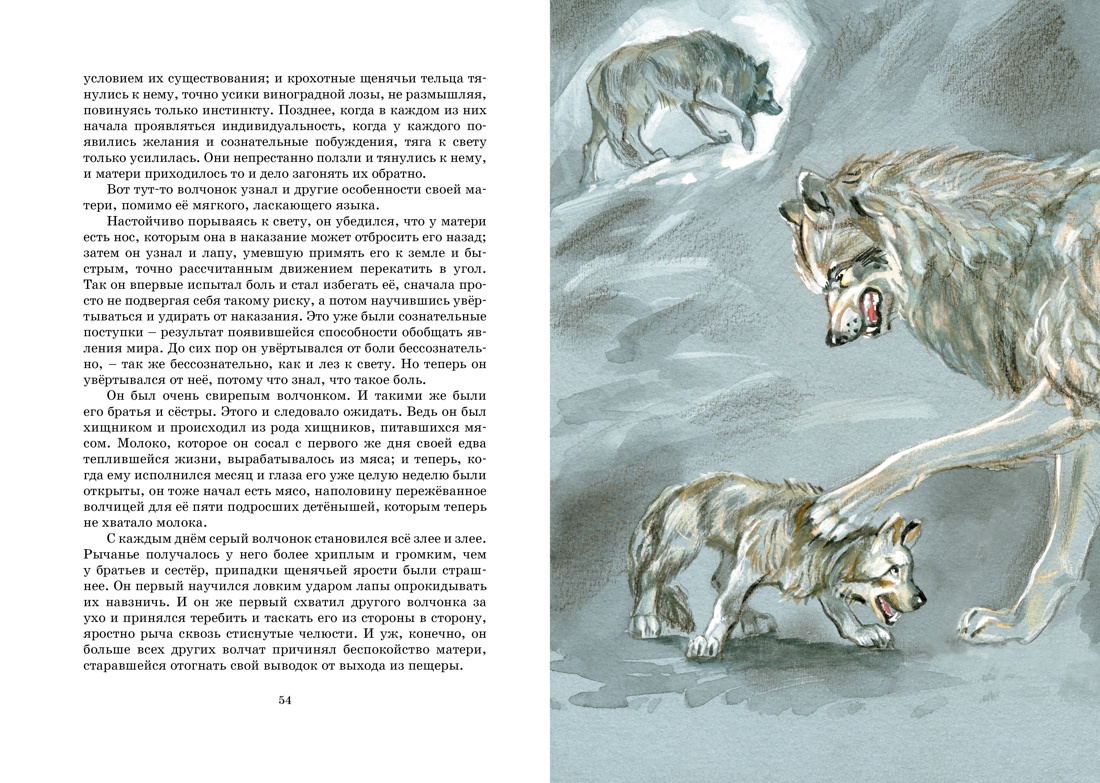 Книга Махаон Белый клык. Рассказы о животных. Комплект из 2-х книг. - фото 10