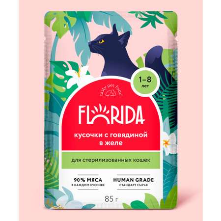 Корм для кошек Florida для стерилизованных и кастрированных котов кусочки говядина желе 85г пауч