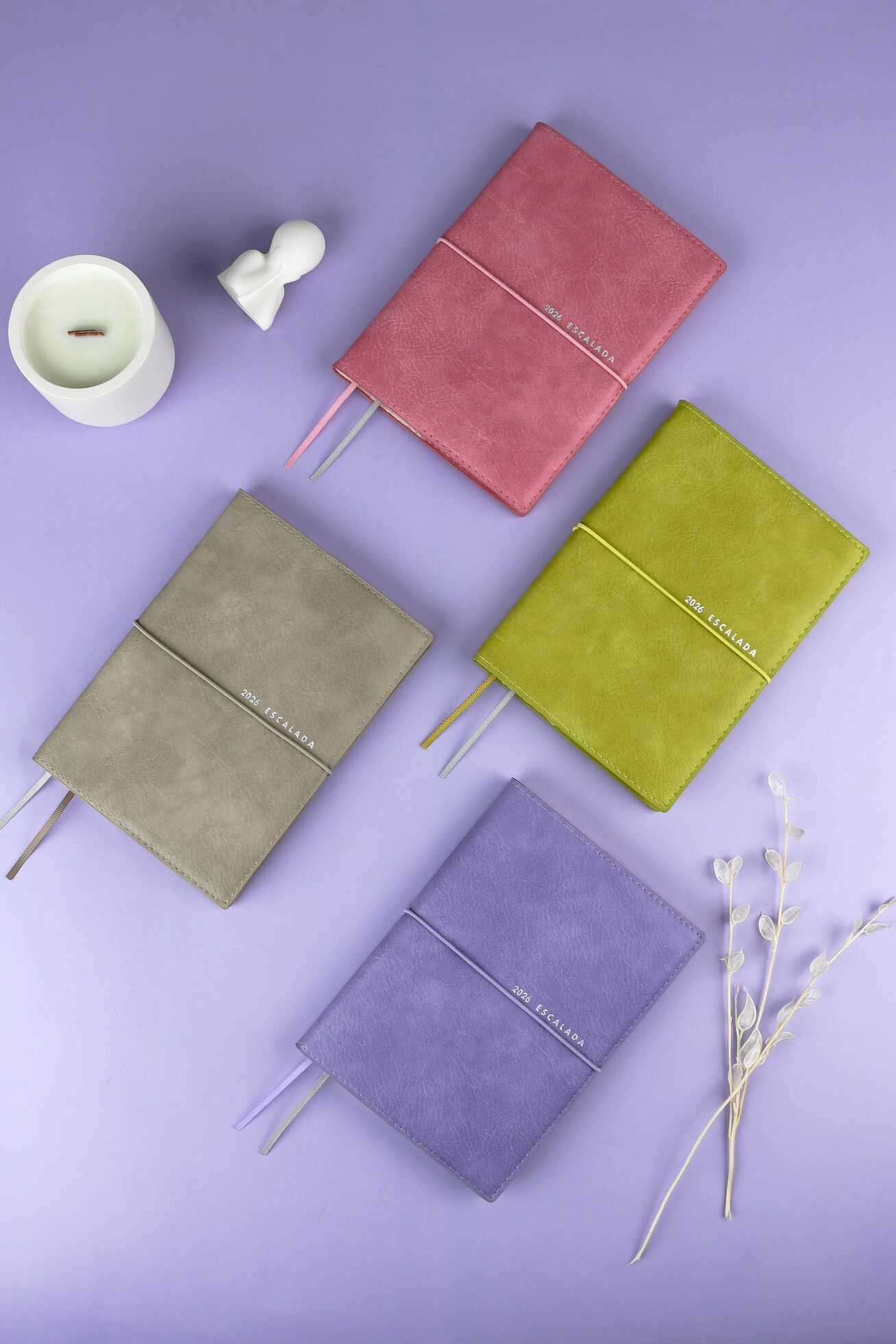 Ежедневник Феникс + ESCALADA 128 лист. - фото 3