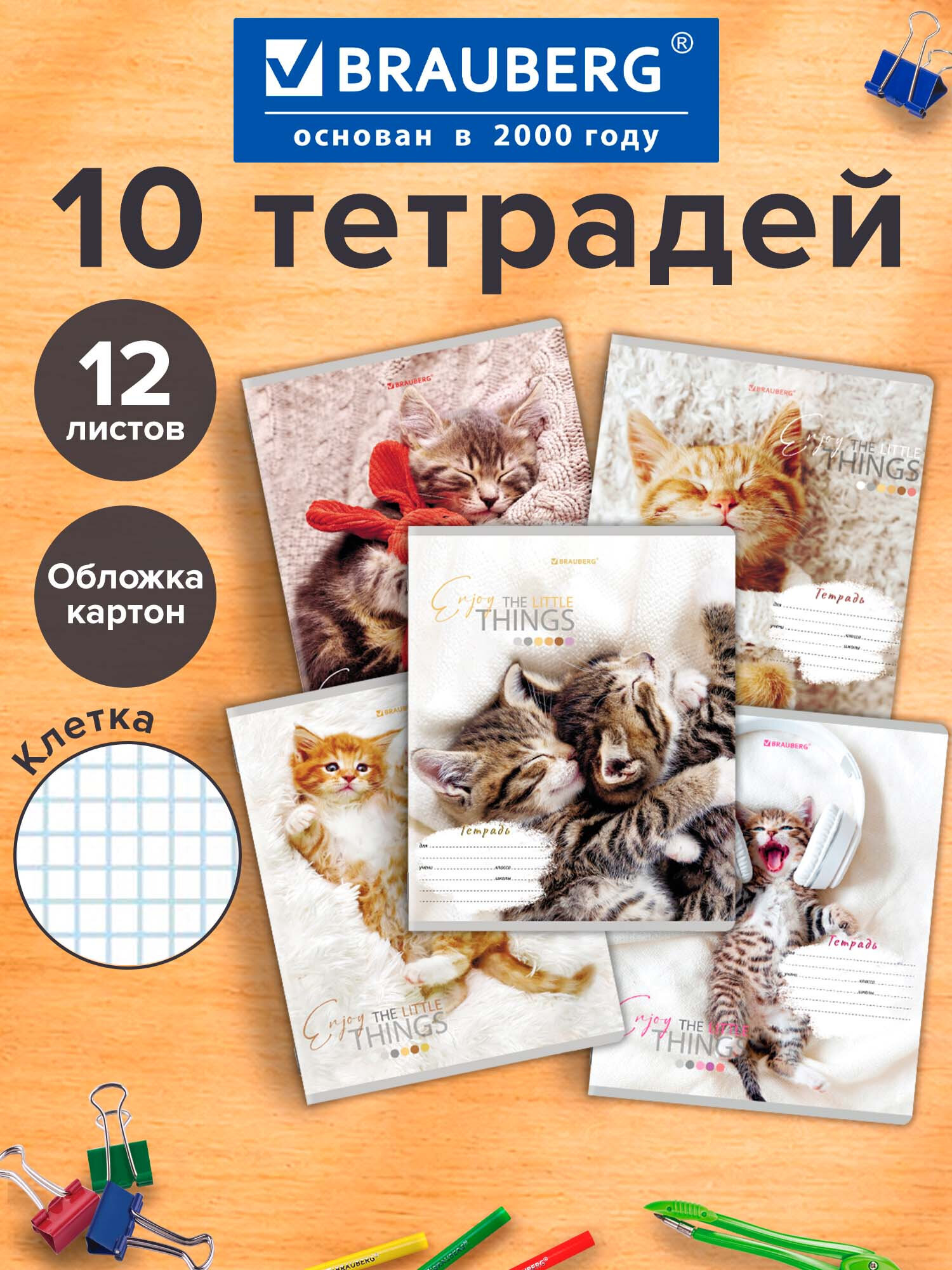 Изображение товара Тетрадь Brauberg клетка 12 листов 10 шт в комплекте школьные материалы Изображение товара Тетрадь Brauberg клетка 12 листов 10 шт в комплекте школьные материалы