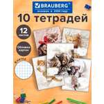 Тетрадь Brauberg клетка 12 лист. 10 шт.