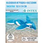 Надувная игрушка INTEX наездник Касатка 152х114см 58523NP