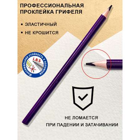 Карандаши цветные ACMELIAE 24 шт.