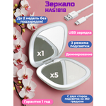 Зеркало HASTEN карманное