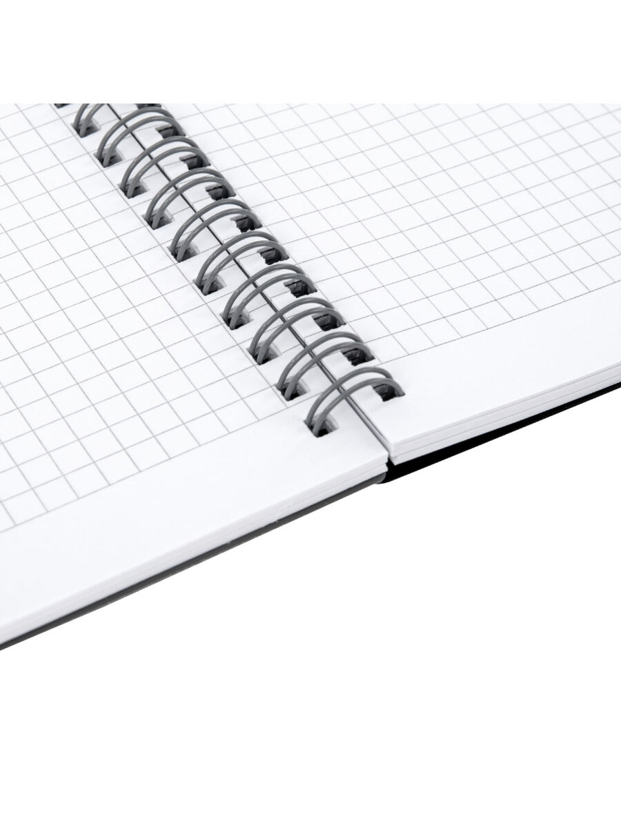 Тетрадь Brauberg клетка 80 лист. - фото 5