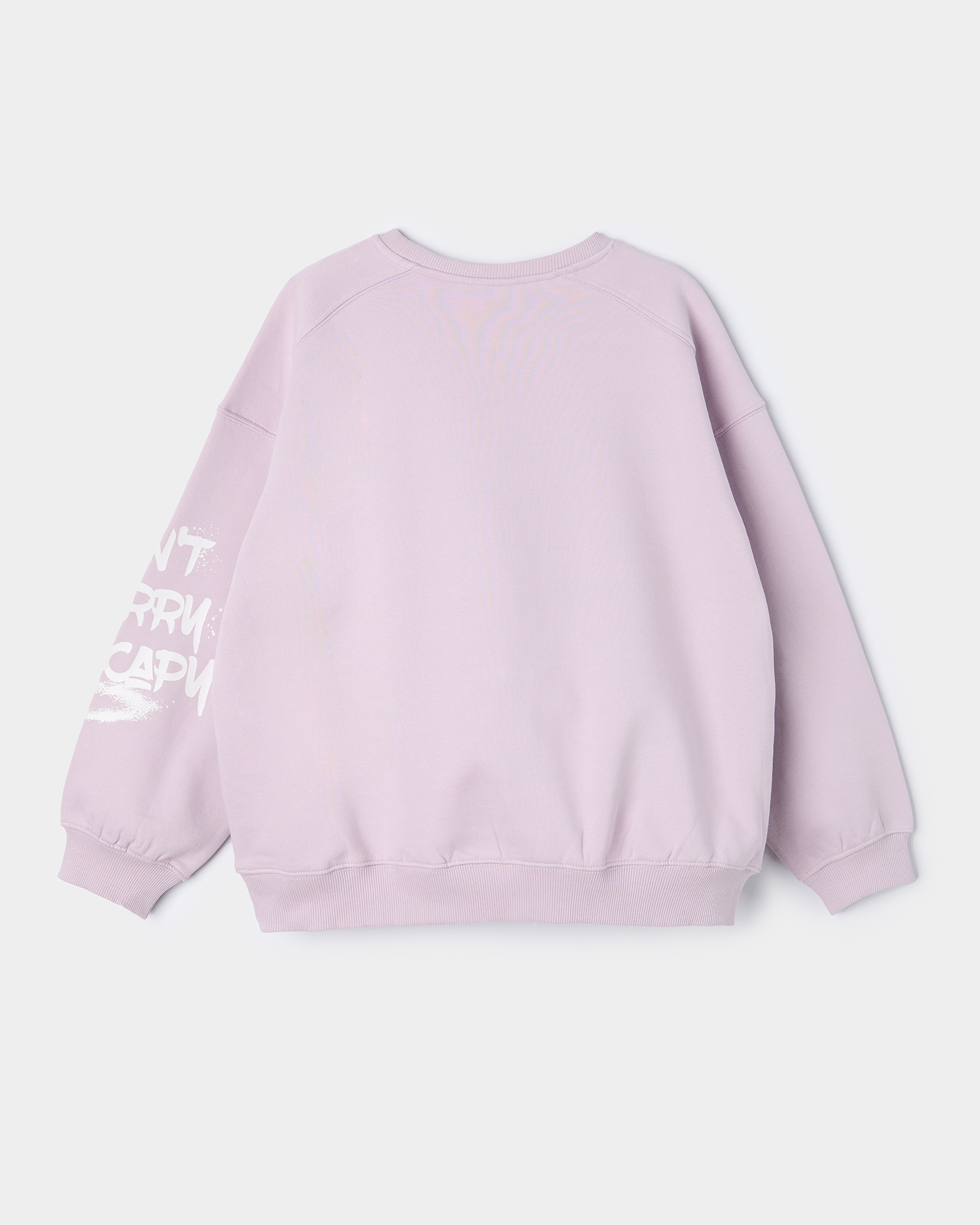 Свитшот Futurino FGSS261152FUtg77 - фото 2