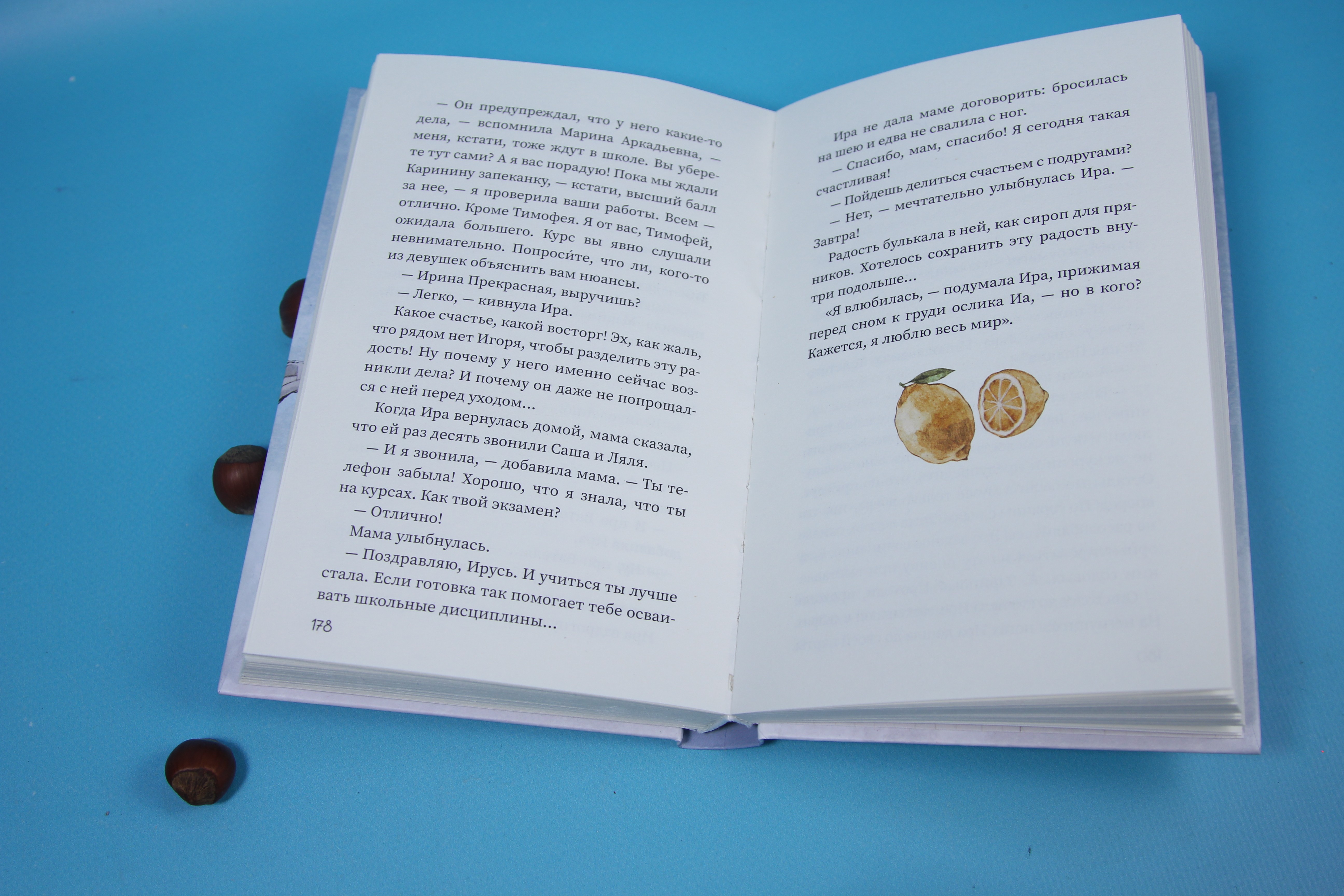 Книга Пять четвертей Брауни с секретом - фото 3