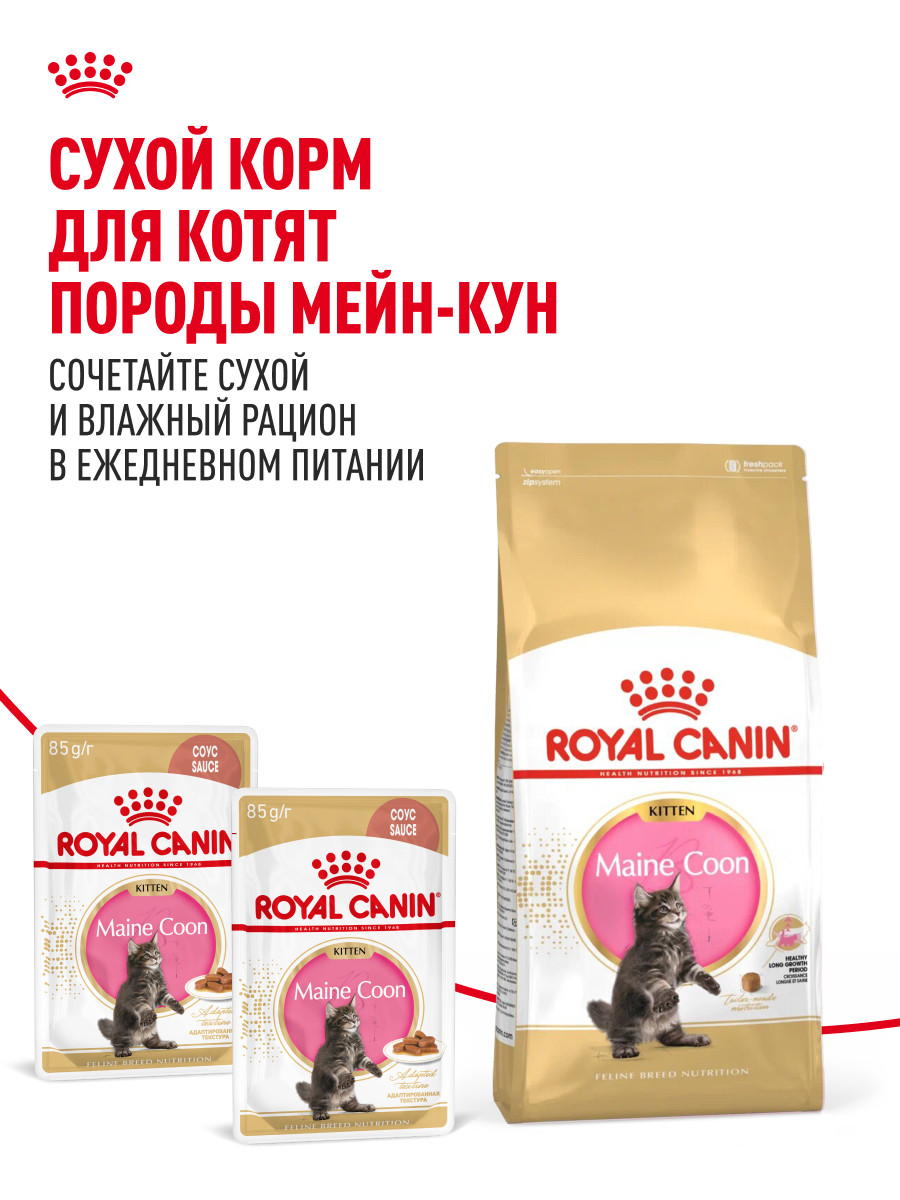 Корм для котят Royal Canin 85г Maine Coon Kitten соус для котят мейн кун пауч - фото 8