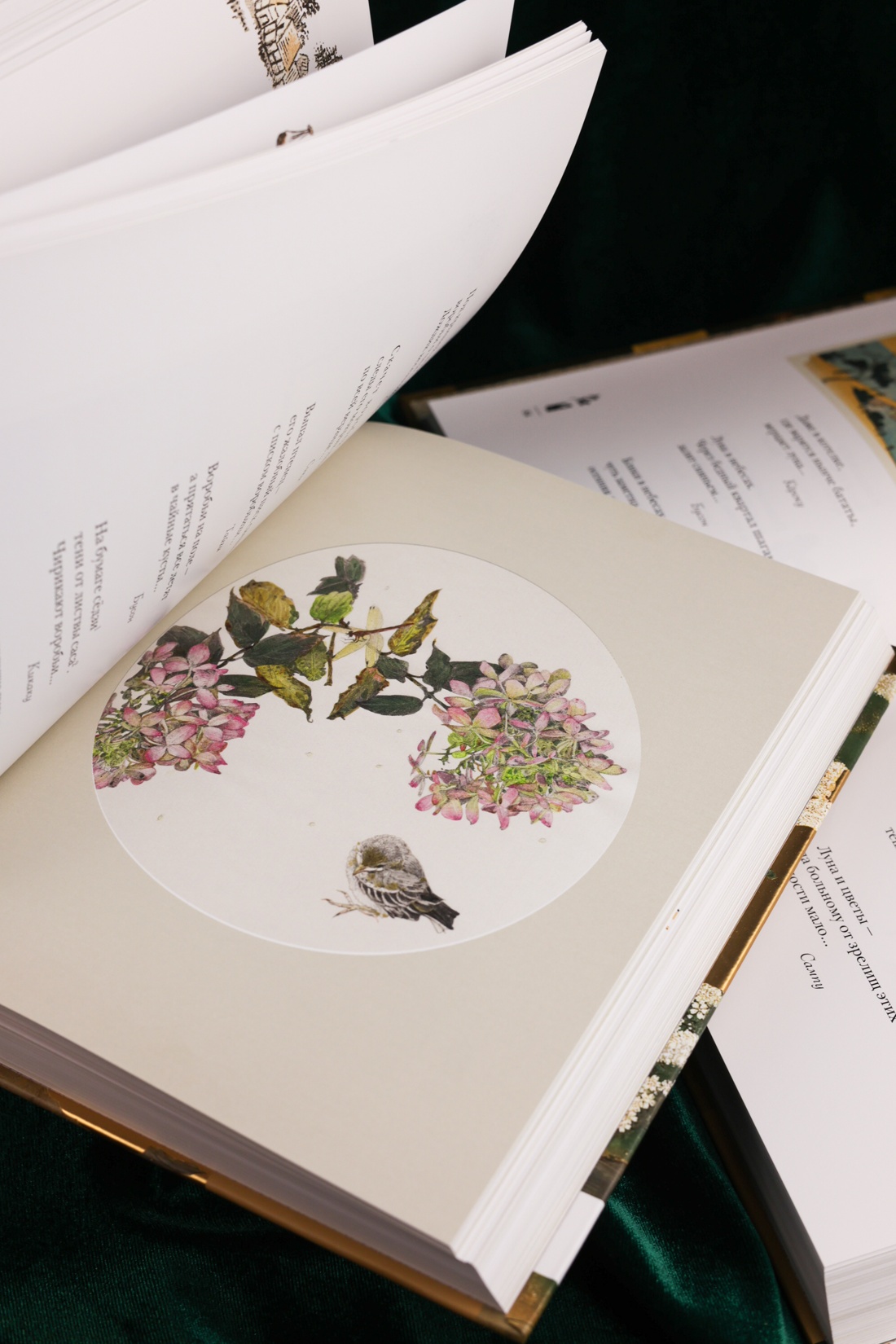 Книга АЗБУКА Мир в капле - фото 10