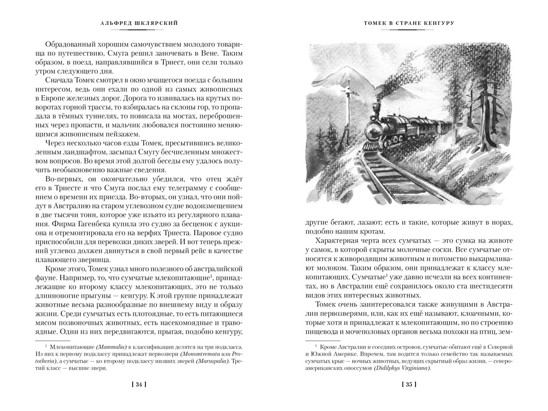 Книга АЗБУКА Шклярский А. Томек в стране кенгуру и другие удивительные приключения - фото 17