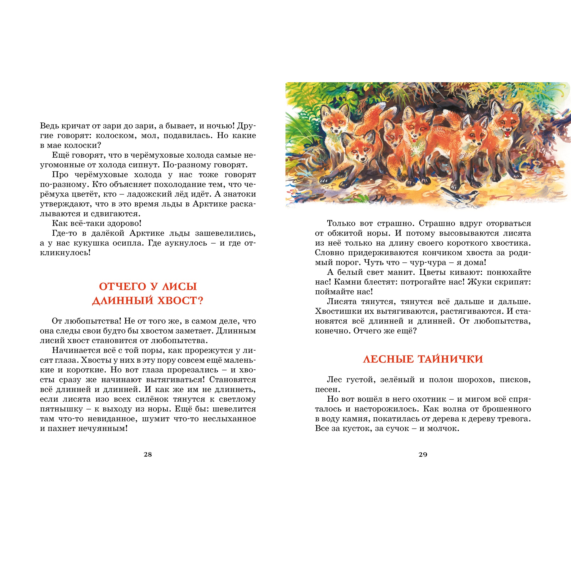 Книга МАХАОН Лесные тайнички Сладков Н. - фото 7