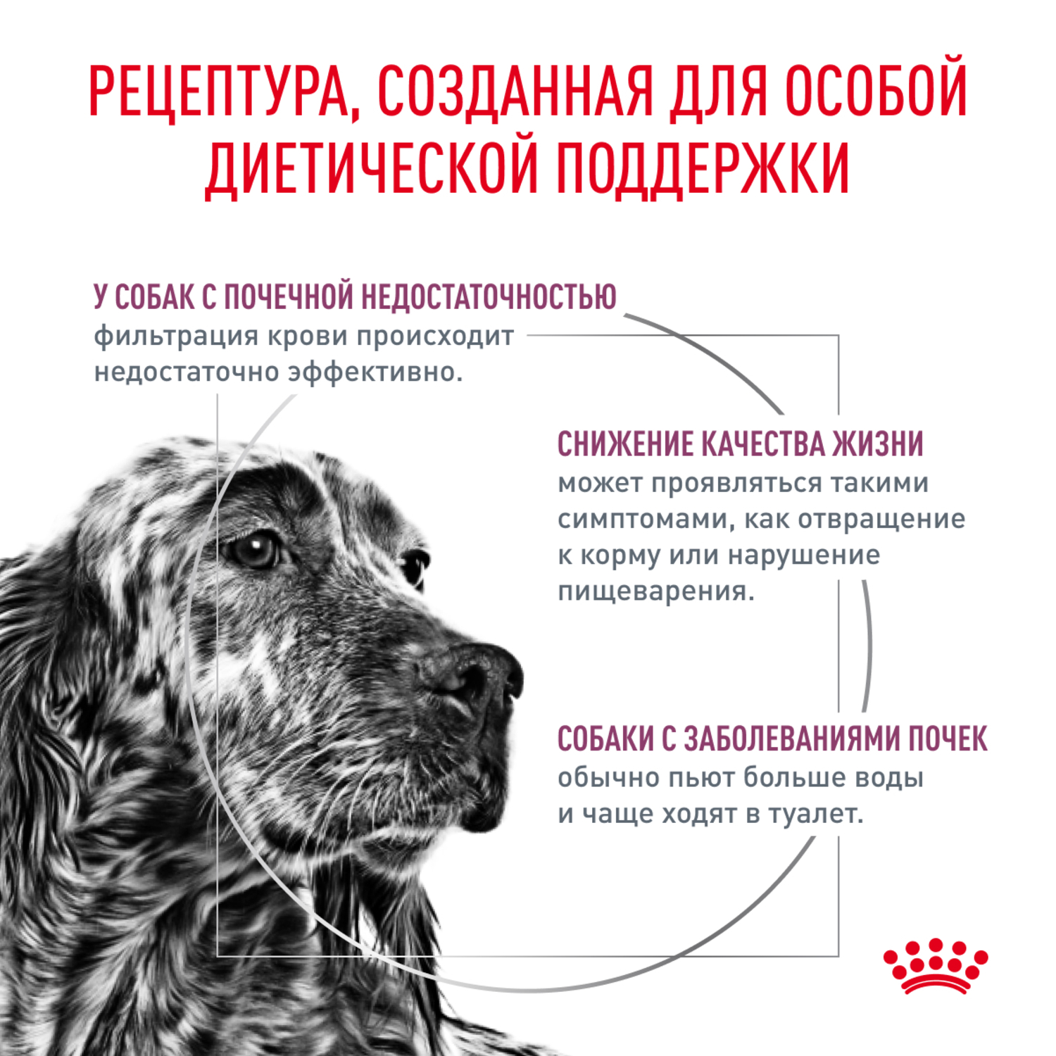 Корм для собак ROYAL CANIN Renal при почечной недостаточности 14кг - фото 2
