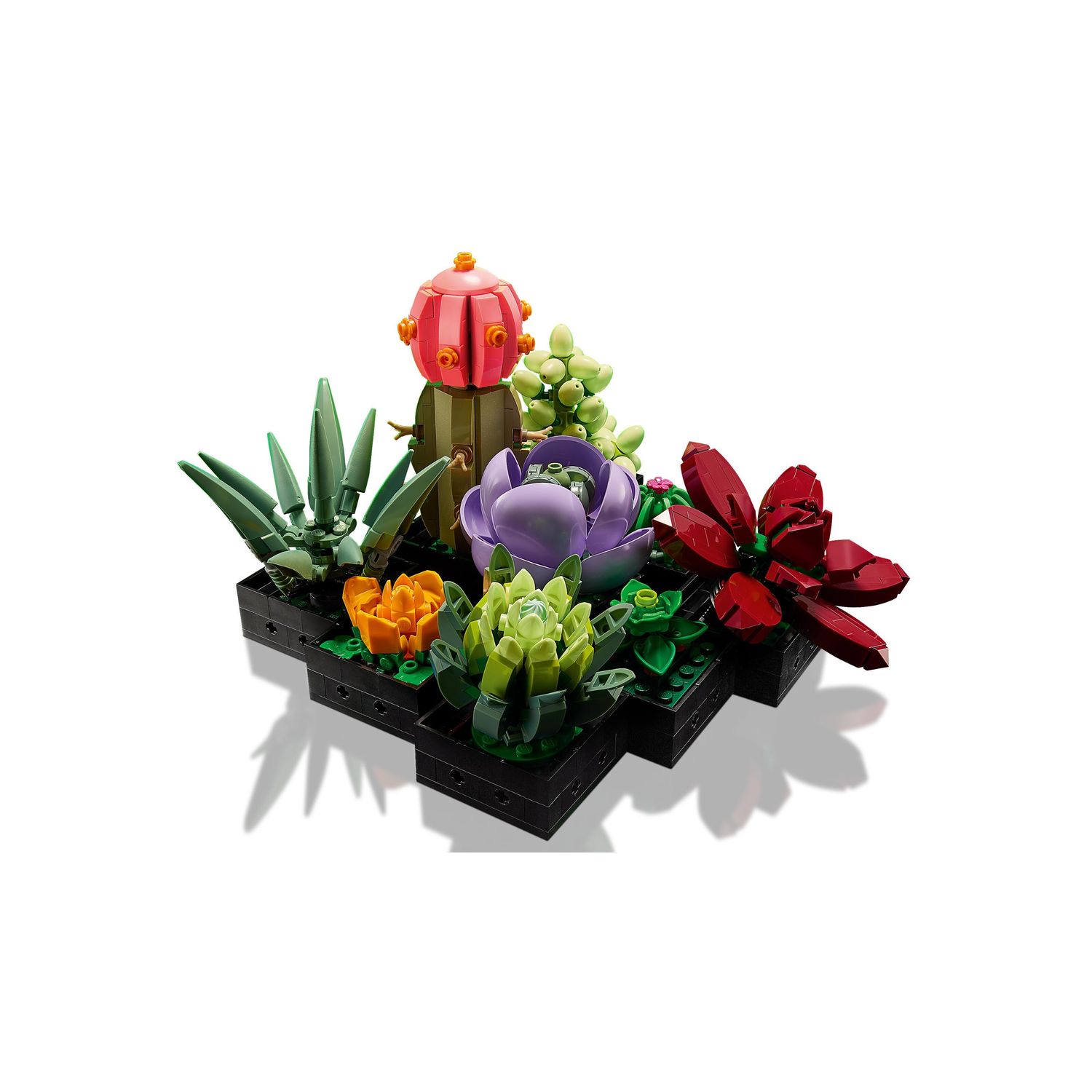 Конструктор LEGO Icons Суккуленты блочный - фото 3