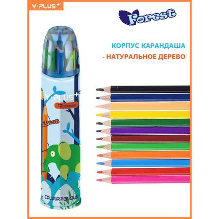 Карандаши цветные Y-plus 12 шт.